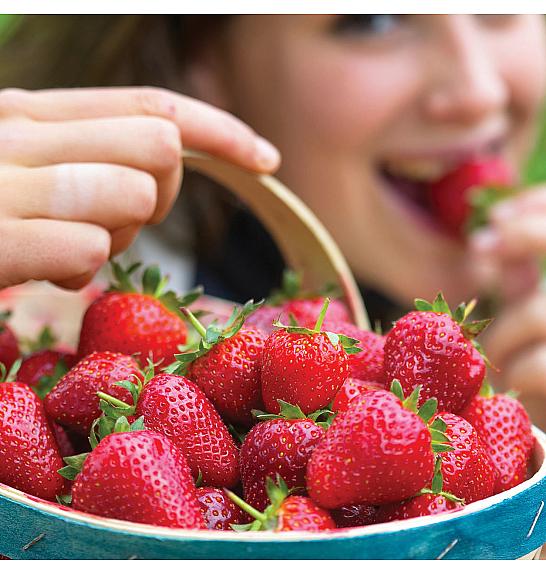 Jagoda Sweet Brumme Ø10,5