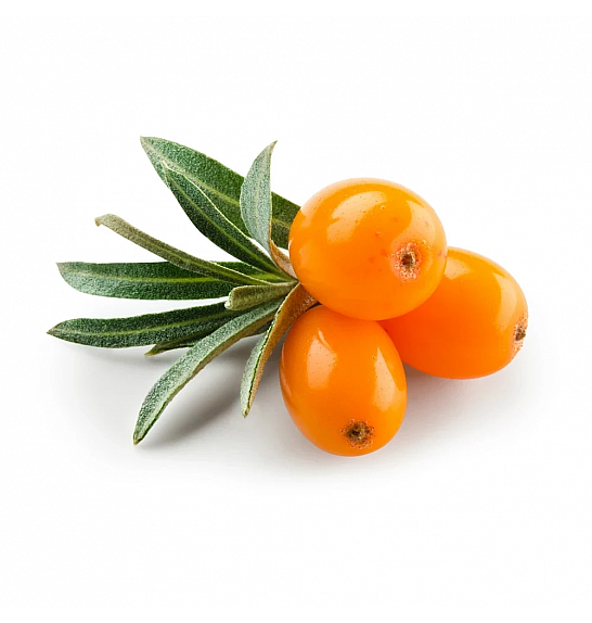 Hippophae rhamnoides Leikora C2 Lit. 30-40 cm