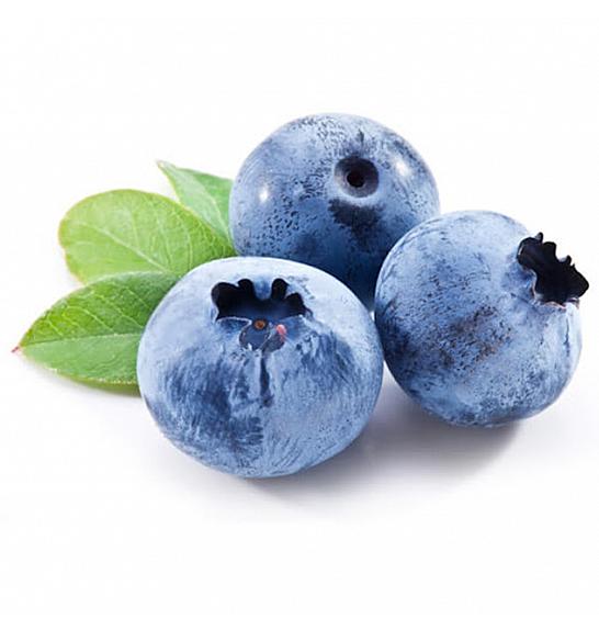 VE-BO FRUIT Vaccinium corymbosum Goldtraube