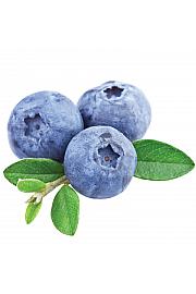 Vaccinium corymbosum Duke C2 Lit. 30-40 cm