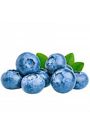 Vaccinium corymbosum Bluegold C2 Lit. 30-40 cm