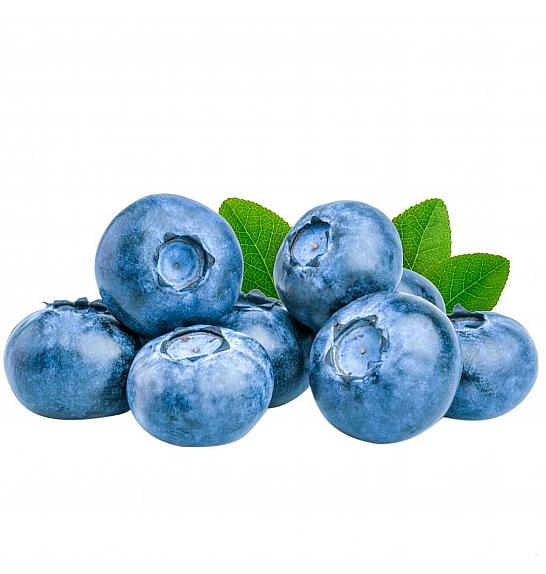 Vaccinium corymbosum Bluegold C2 Lit. 30-40 cm