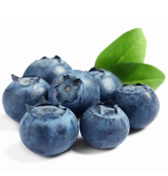 Vaccinium corymbosum Darrow C2 Lit. 40-60 cm