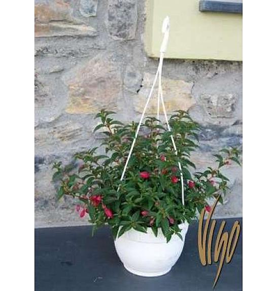 Fuchsia Ø20 obešanka