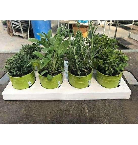 Dišavnice Ø9 mix kovinski lonček z magnetom