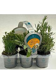 Dišavnice Ø9 mix 6 pack meat grill