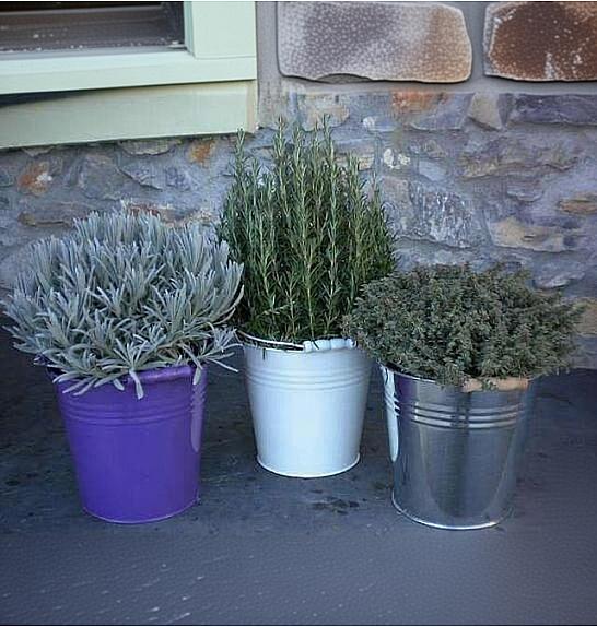 Dišavnice Ø18 mix barvni kovinski lonček