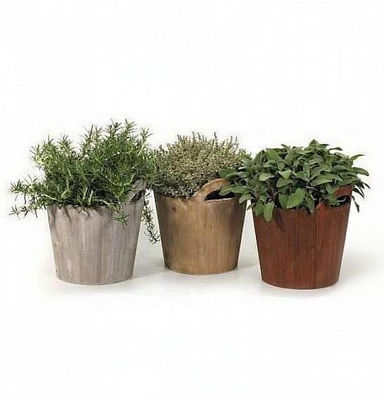 Dišavnice Ø14 mix leseni lonček