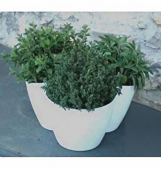 Dišavnice Ø14 mix dekor lonček 3 pack