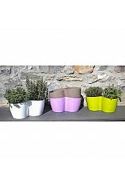 Dišavnice Ø14 mix dekor lonček 2 pack