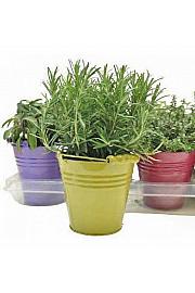 Dišavnice Ø14 mix dekor lonček