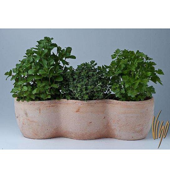 Dišavnice Ø14 mix 3 pack terracotta lonec