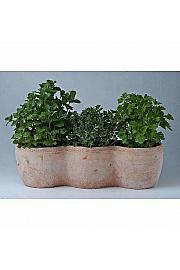 Dišavnice Ø14 mix 3 pack terracotta lonec