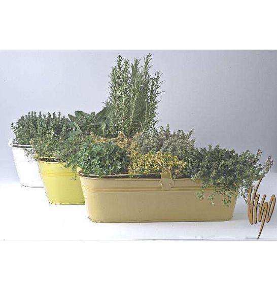 Dišavnice mix 40 cm kovinsko korito