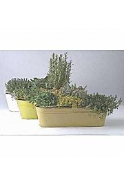 Dišavnice mix 40 cm kovinsko korito