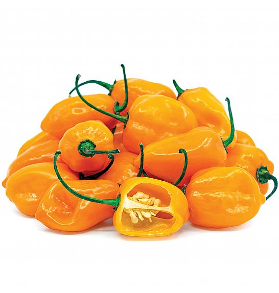 Narančasta vatrena čili papričica (Habanero) Ø10.5