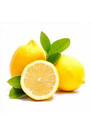 Citrus sinensis Ø18 mix Na Steblu 20 cm