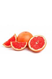 Citrus paradisi Grapefruit Ø20 Na steblu 30 cm
