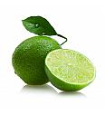 Citrus aurantifolia Lime Ø20 Na steblu 30 cm