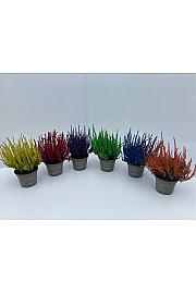 Mješavina obojena Calluna Ø 10