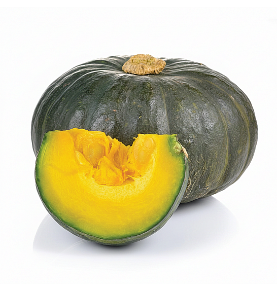 Bučka Shogun Sweet F1 Ø10,5