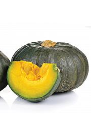 Bučka Shogun Sweet F1 Ø10,5