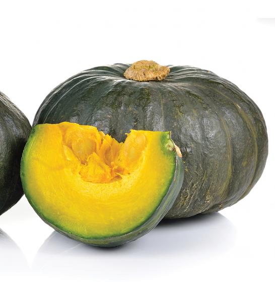 Bučka Shogun Sweet F1 Ø10,5