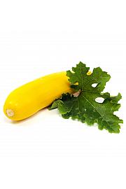 Sebring F1 tikva Ø10.5