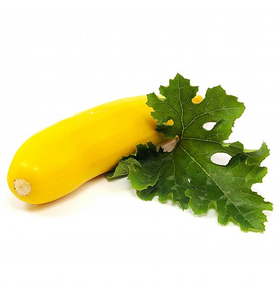 Sebring F1 tikva Ø10.5