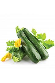 Bučka Kimber F1 Ø10,5