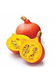 Hokkaido Uchiki Kuri pljoska Ø10,5