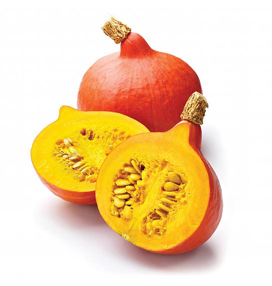 Hokkaido Uchiki Kuri pljoska Ø10,5