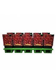 Aster Crimson Brocade Ø11