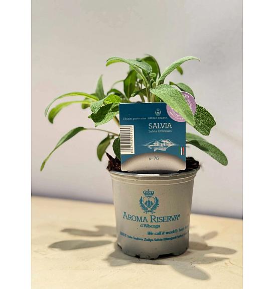 Aroma riserva Salvia officinalis Ø9