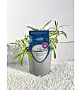 Aroma riserva Artemisia dracunculus Ø14