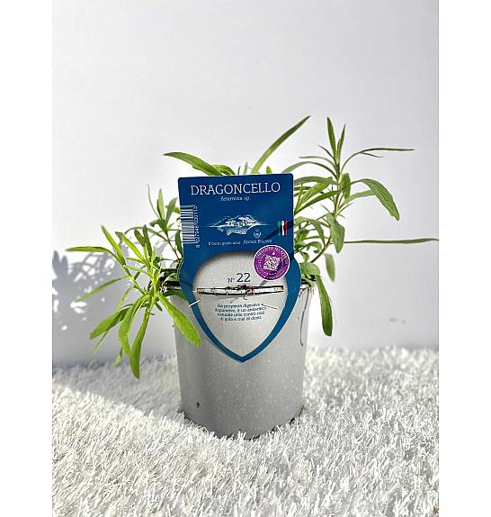 Aroma riserva Artemisia dracunculus Ø14