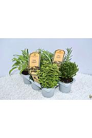 Aroma riserva Ø9 mix 3 pack meat