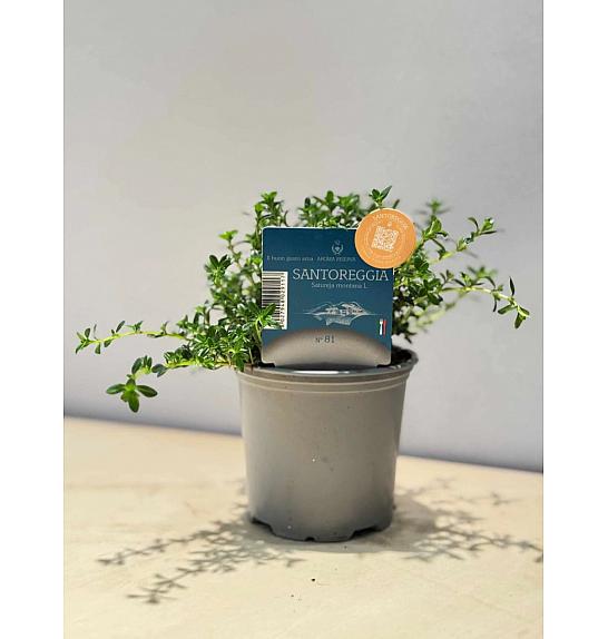 Aroma riserva Satureja montana Ø9