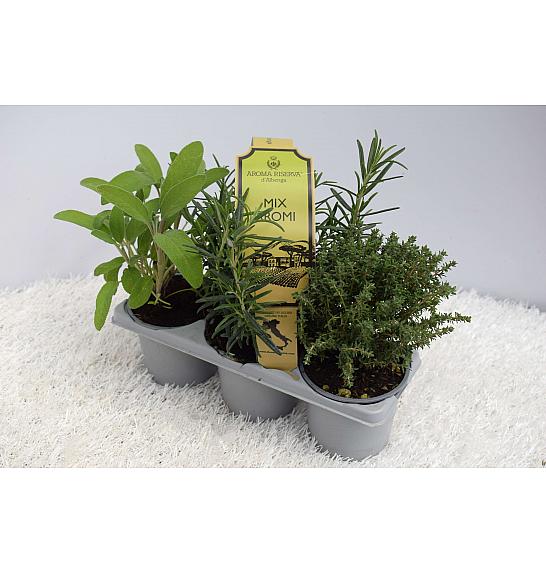 Aroma riserva dišavnice Ø9 mix 3pack