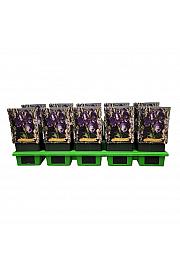 Aconitum carmichaelii Cloudy PBR Ø11