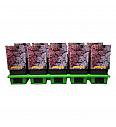 Achillea Rainbow Lightning Pink Ø11