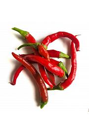 Čili Damian Ø 10.5