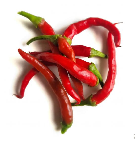 Čili Damian Ø 10.5