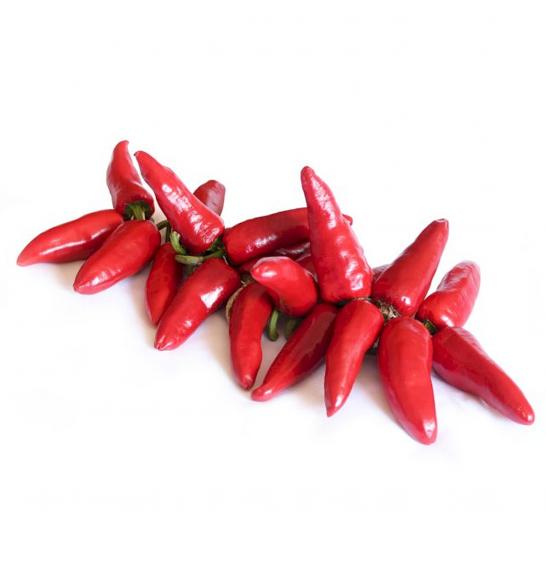 Mini čili Pikito Ø 10,5