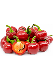 Paprika Cherry Sweet Ø10,5