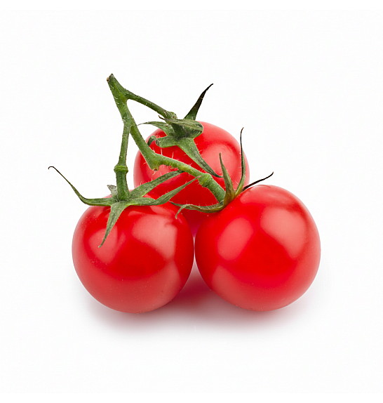 Paradižnik Baby Boomer Ø 10,5