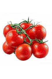 Paradižnik Balcony Red Ø 10,5