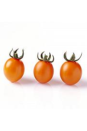 Rajčica Tiny Temptations Orange Ø 10.5