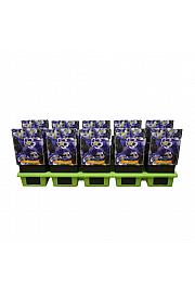 Aquilegia caerulea Spring magic® Navy & White Ø11