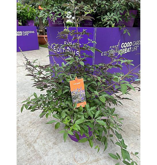 Vitex Flip Side C10 Lit. 50-60 cm